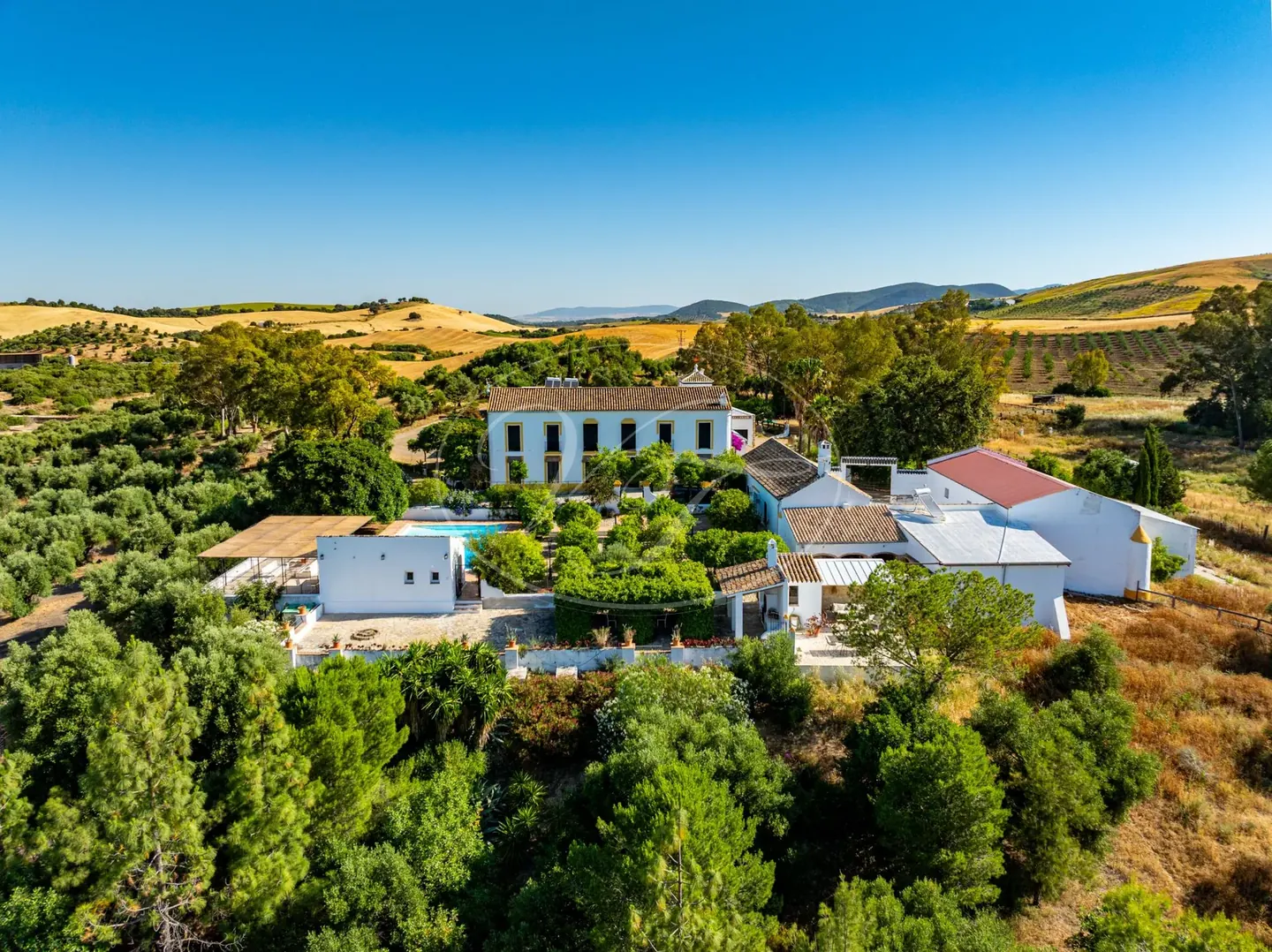 Large whitewashed cortijo surrounded by mature trees and open Andalusian farmland